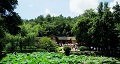 長沙出發(fā)到花明樓、韶山、張家界國家森林公園、天門仙山國家森林公園四日游